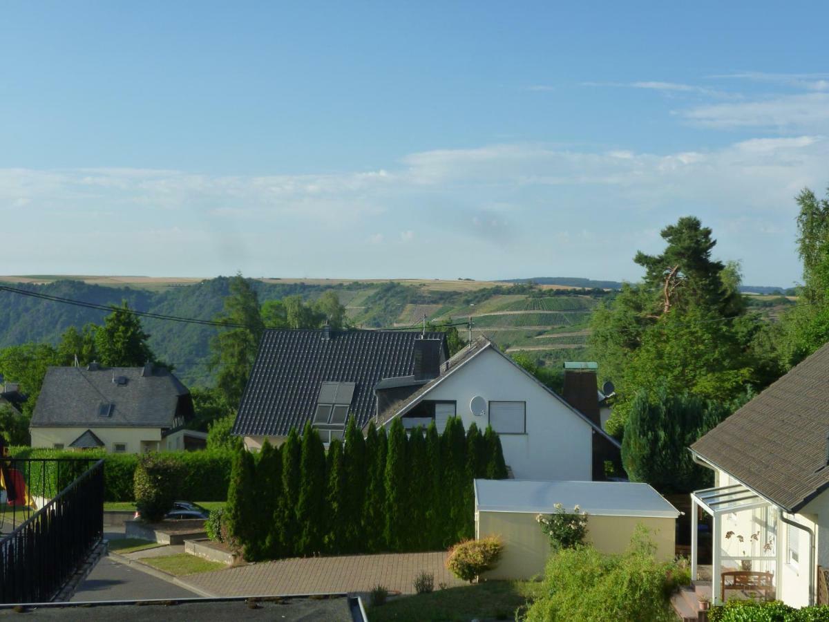 Welterbe Mittelrhein Apartman Biebernheim Kültér fotó
